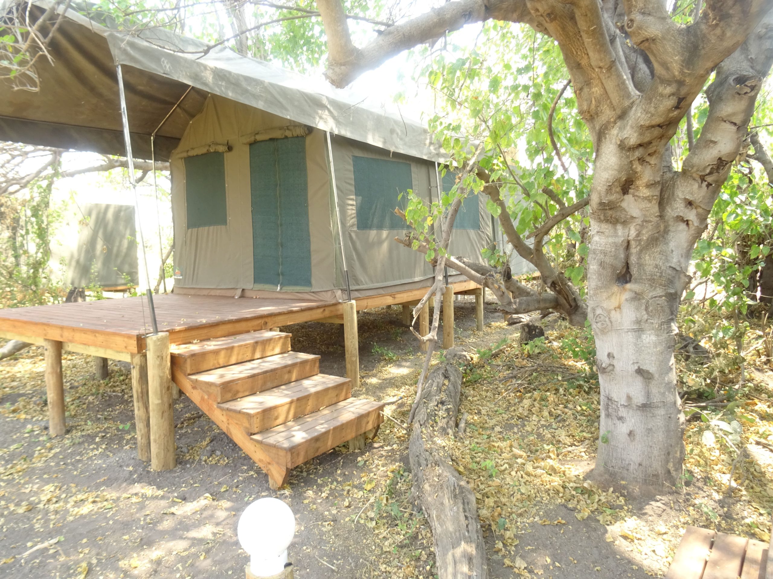 DSC02103